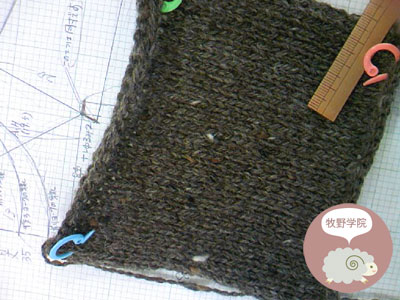 20100415-04.jpg