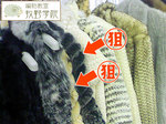 ws2008-fur02-2.jpg